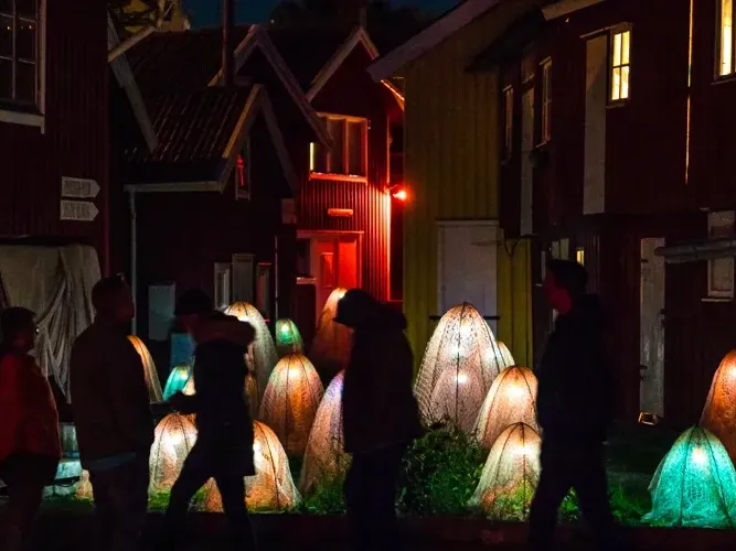 Guidade turer runt Island of Light