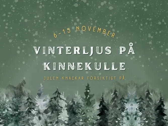 Vinterljus på Kinnekulle