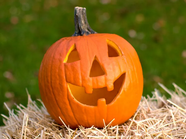 Halloween vid Gammelgården i Dingle 