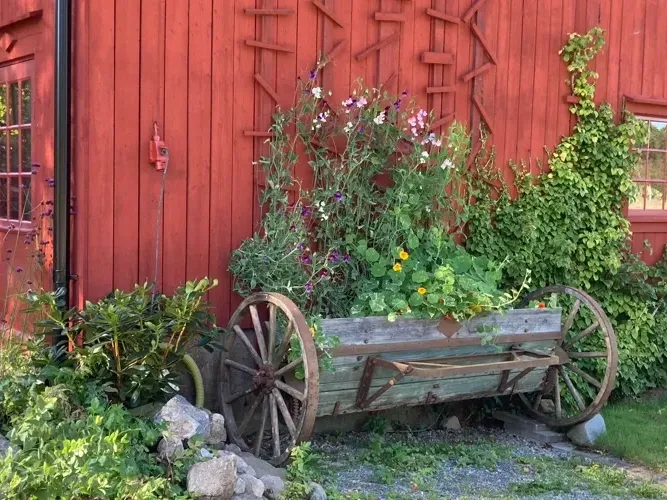 Samtal på tvärs