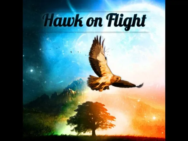 Hawk on Flight
