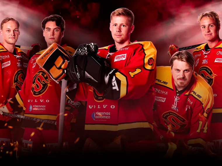 Skövde HC vs Mölndal Hockey