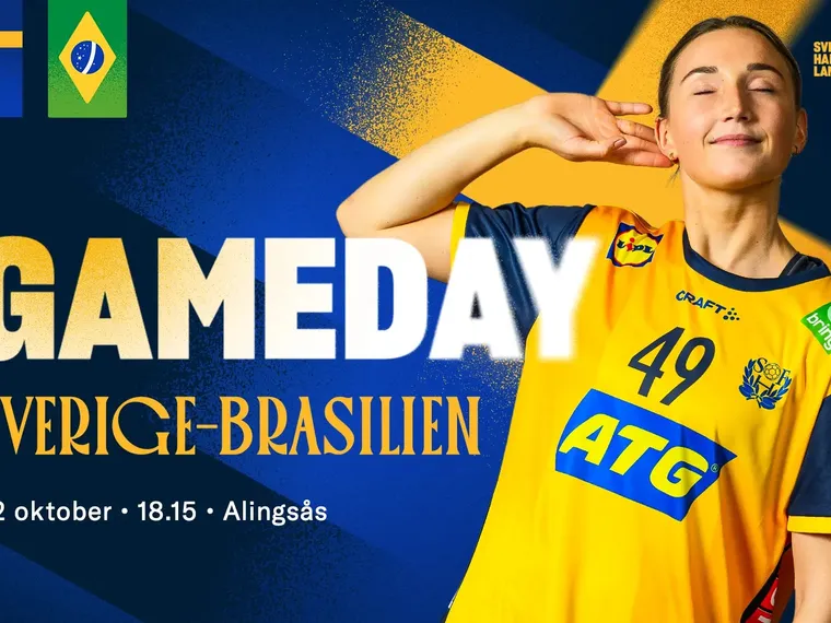Sverige- Brasilien 