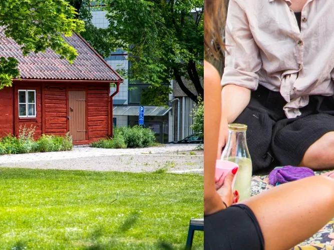 Picknickdebatt för förstagångsväljare