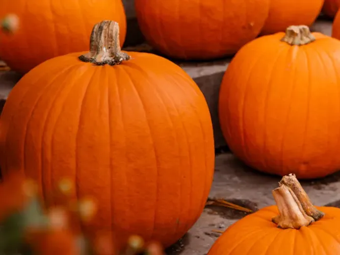 Halloween stämning på stan