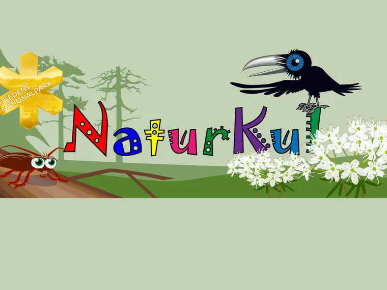 Naturkul på höstlovet