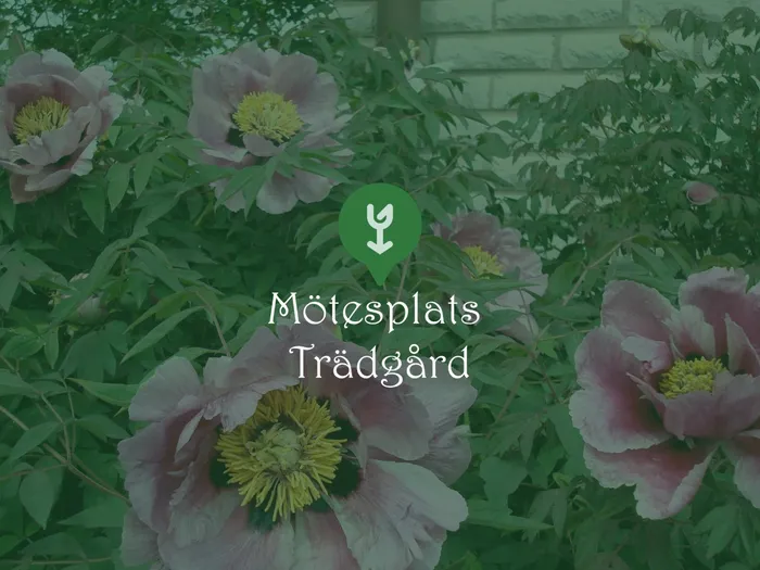 Mötesplats Trädgård