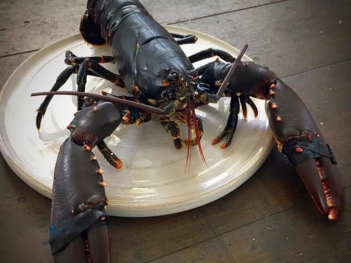 Smaka på Bohuslän Hummersupé & boende i Grebbestad