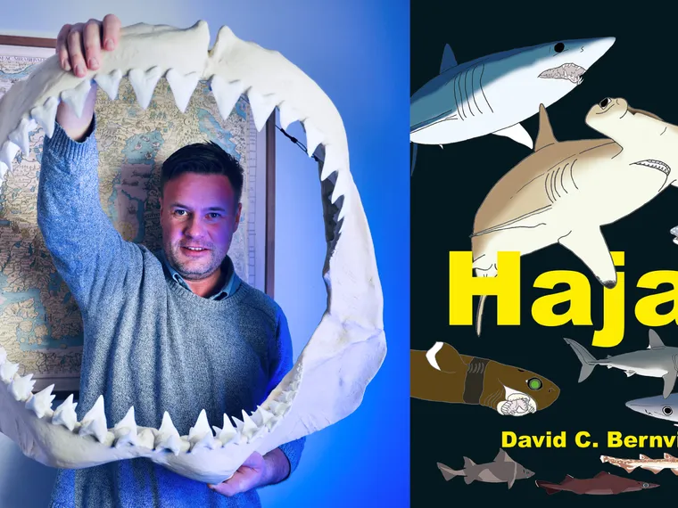 Läslov: Hajar med David C. Bernvi