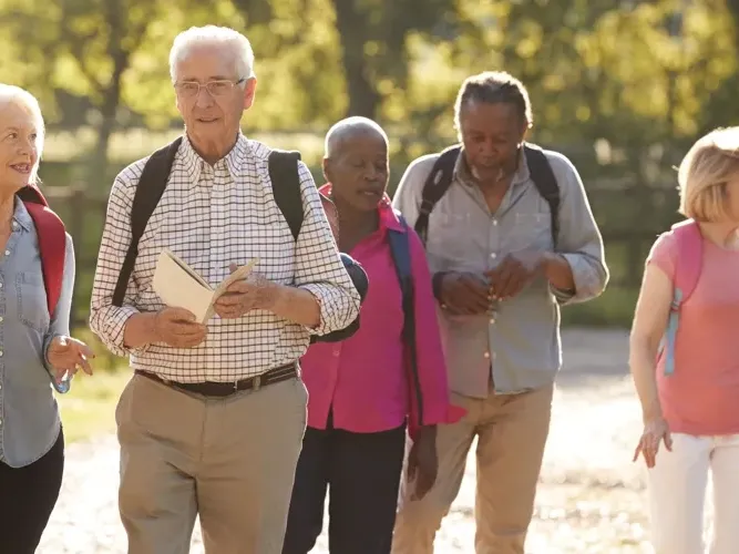 Seniordagen 2026