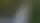 absolutnatur – Nittorp