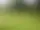 Vetlanda golfklubb – Vetlanda