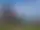 Pilkalampinoppi brandbevakningstorn