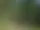 Leder och naturstigar i Gästrikland