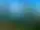 Orbaden Zip & Climb – Vallsta