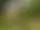 Natur- och kulturstig Skutboudden