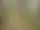 Trailrunningpaket - Outside Adventure