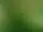 Risshytte hage naturreservat – Säter