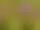 Nohlmarkens naturstig