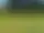 Mofallagolf  – Hjo