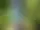 Mountainbikeled Fårhagen vid Bjursjön – Uddevalla
