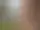 17 sevärdheter och en tremilstur – Mariestad