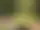 Teknikbana och downhill MTB