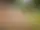 Vandring i Världsarv – Tanumshede
