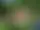 Tivolilekplatsen – Trollhättan